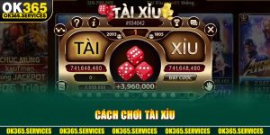 Cách Chơi Tài Xỉu Chuẩn Quy Tắc Và Mẹo Bất Bại Tại KUBET